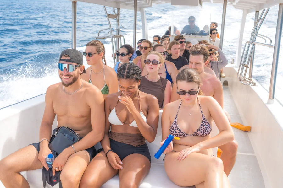 Nusa Penida: 3-Spot Snorkel + Kelingking & Tembeling Gallery Image 2