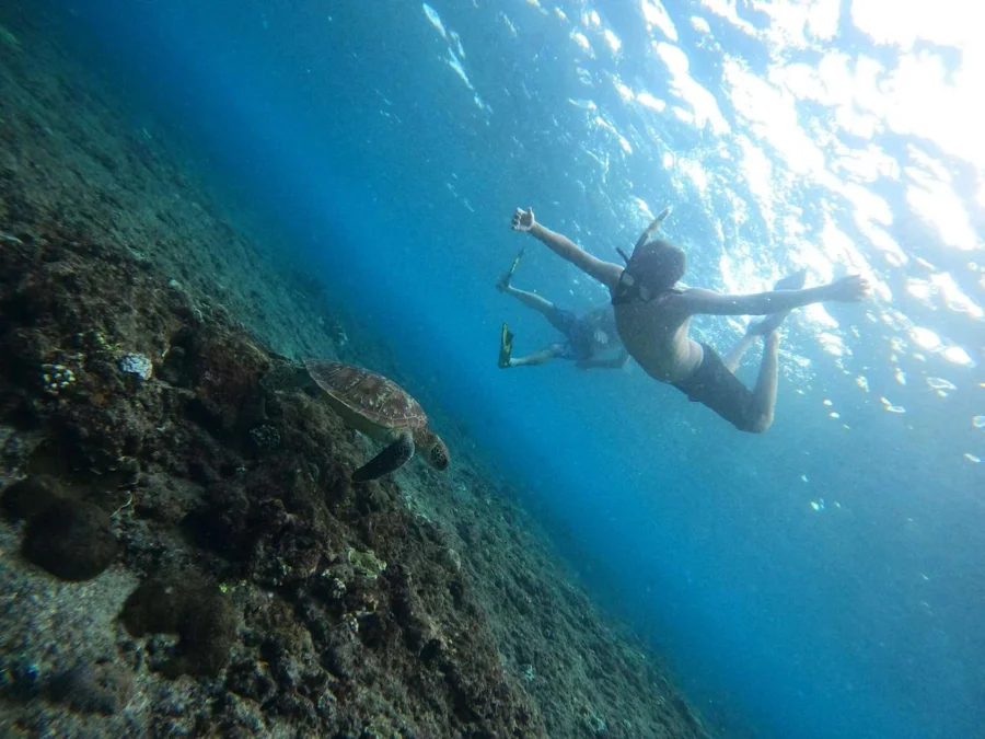 From Lembongan: Manta Point Snorkeling & West Penida Tour Gallery Image 5