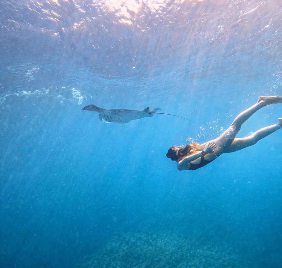 From Bali: Penida 3-Spots Manta Snorkel & Guyangan Waterfall Gallery Image 4